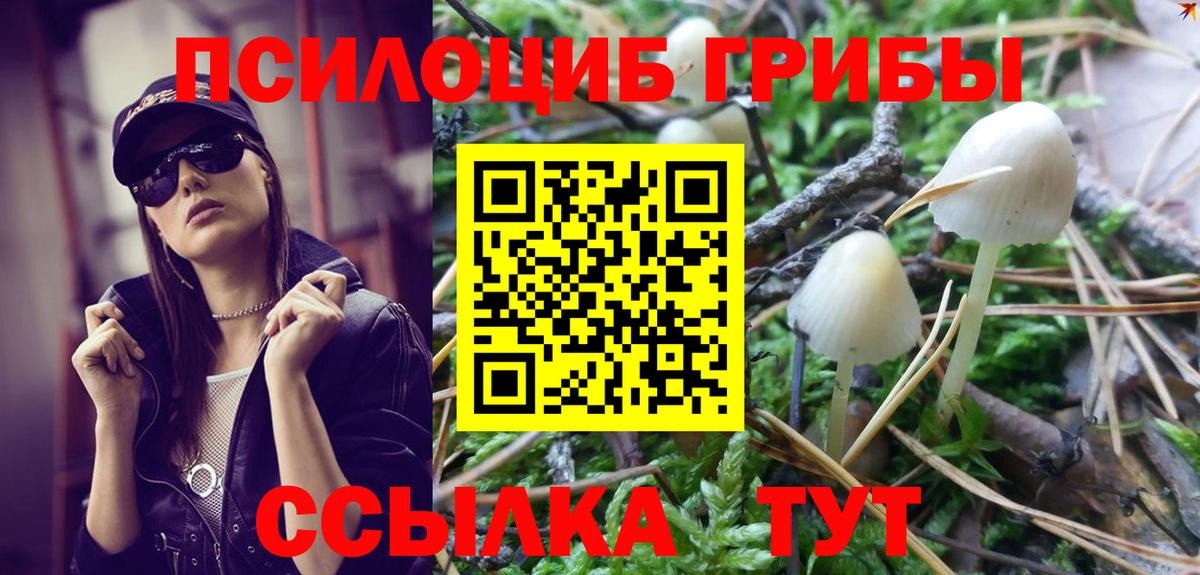 Псилоцибиновые грибы мицелий Лянтор