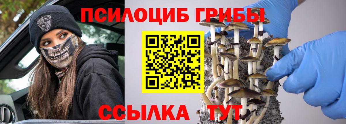 Лянтор  Галлюциногенные грибы Psilocybine cubensis  Вход с VPN 